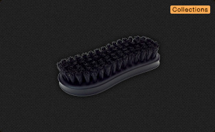 Collections Bristle Shoe Brush