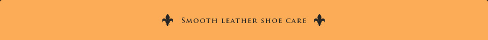 smooth leather shoe care